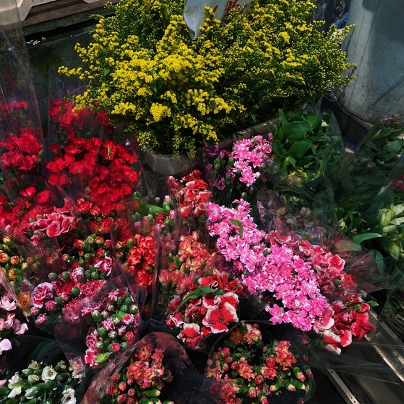 Meet the Posher Other - Meet your Posher, Rose